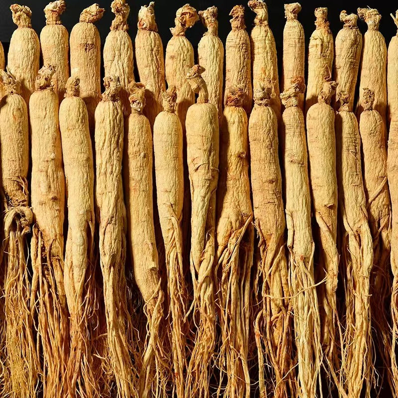 Dried White Ginseng/100g