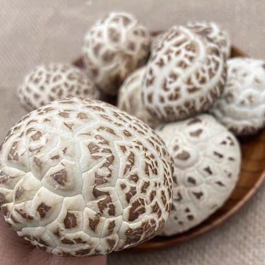 Dried Mushroom Black/White/Big White/Pearl Flower/Japan Mei Shan Mushroom 3-4cm/6+-cm/2cm+-/3+- 200G/250G