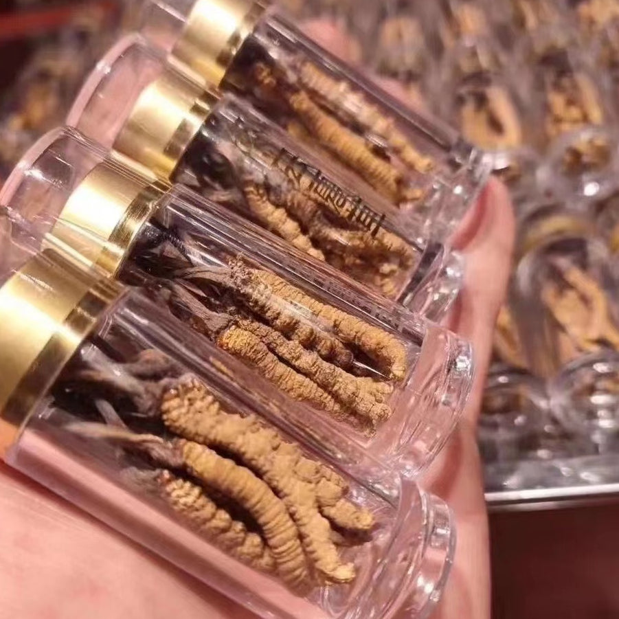 Wild Tibet Cordyceps/ (8pcs/Bottle)