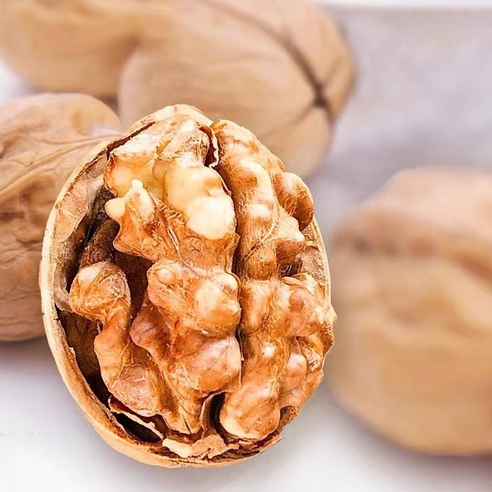 Roasted Walnut In Shell/500g